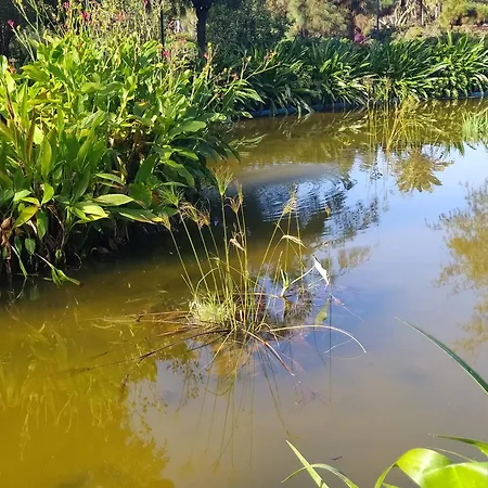 アパート Apartamento Taoro - Private Pool & Sunset Sea View プエルト・デ・ラ・クルス