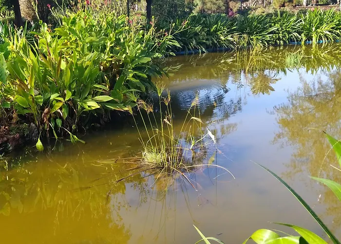 アパート Apartamento Taoro - Private Pool & Sunset Sea View プエルト・デ・ラ・クルス