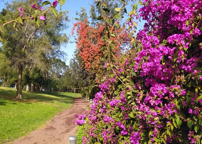 Apartment Taoro - Private Pool & Sunset Sea View